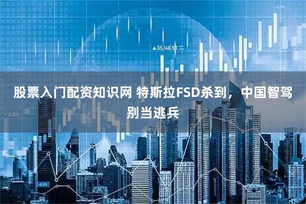 股票入门配资知识网 特斯拉FSD杀到，中国智驾别当逃兵