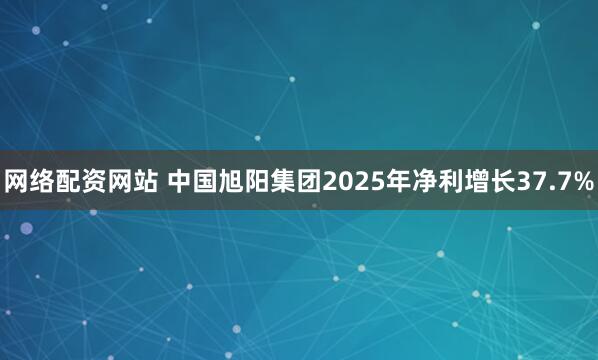 网络配资网站 中国旭阳集团2025年净利增长37.7%